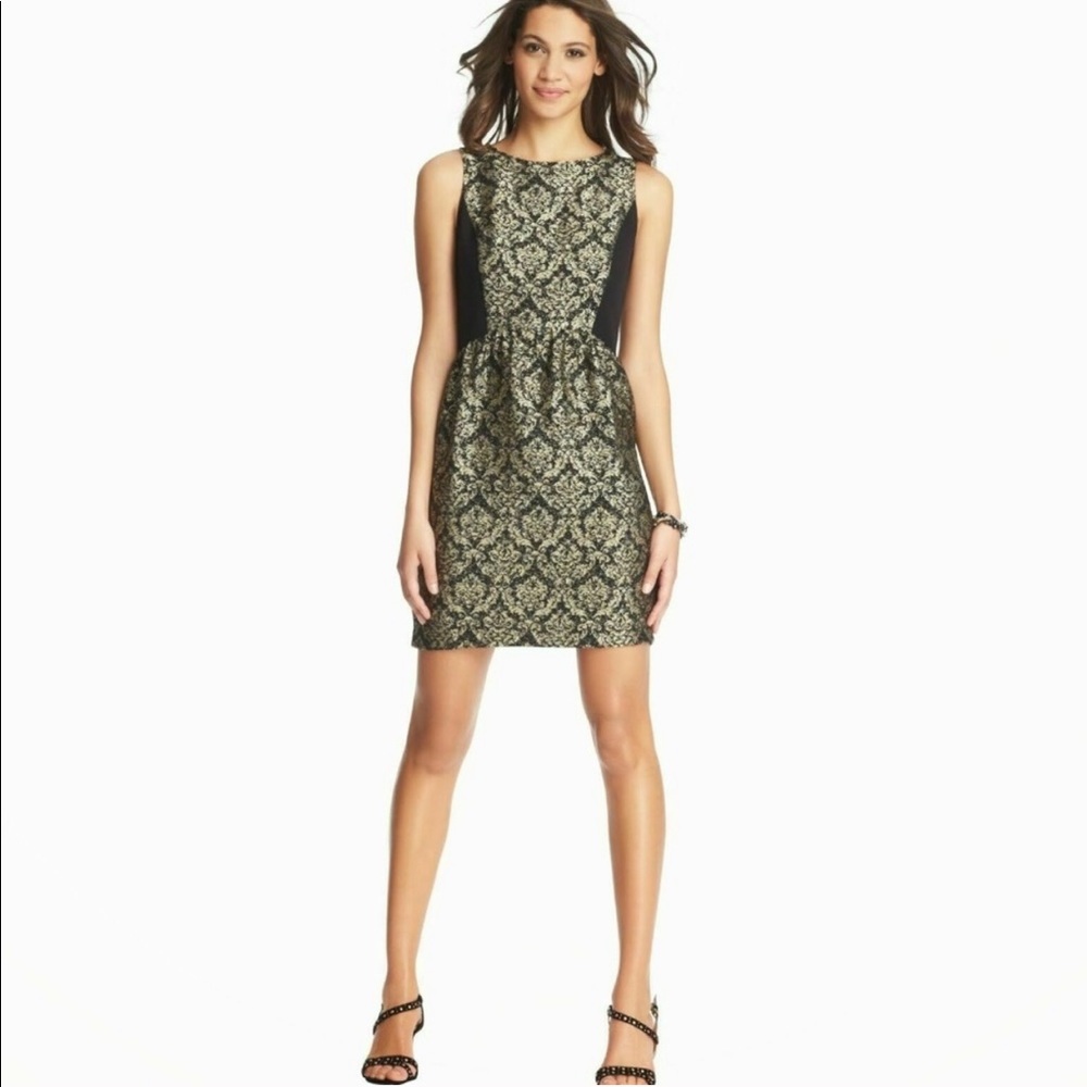 NWT LOFT | gold and black dress Size 8